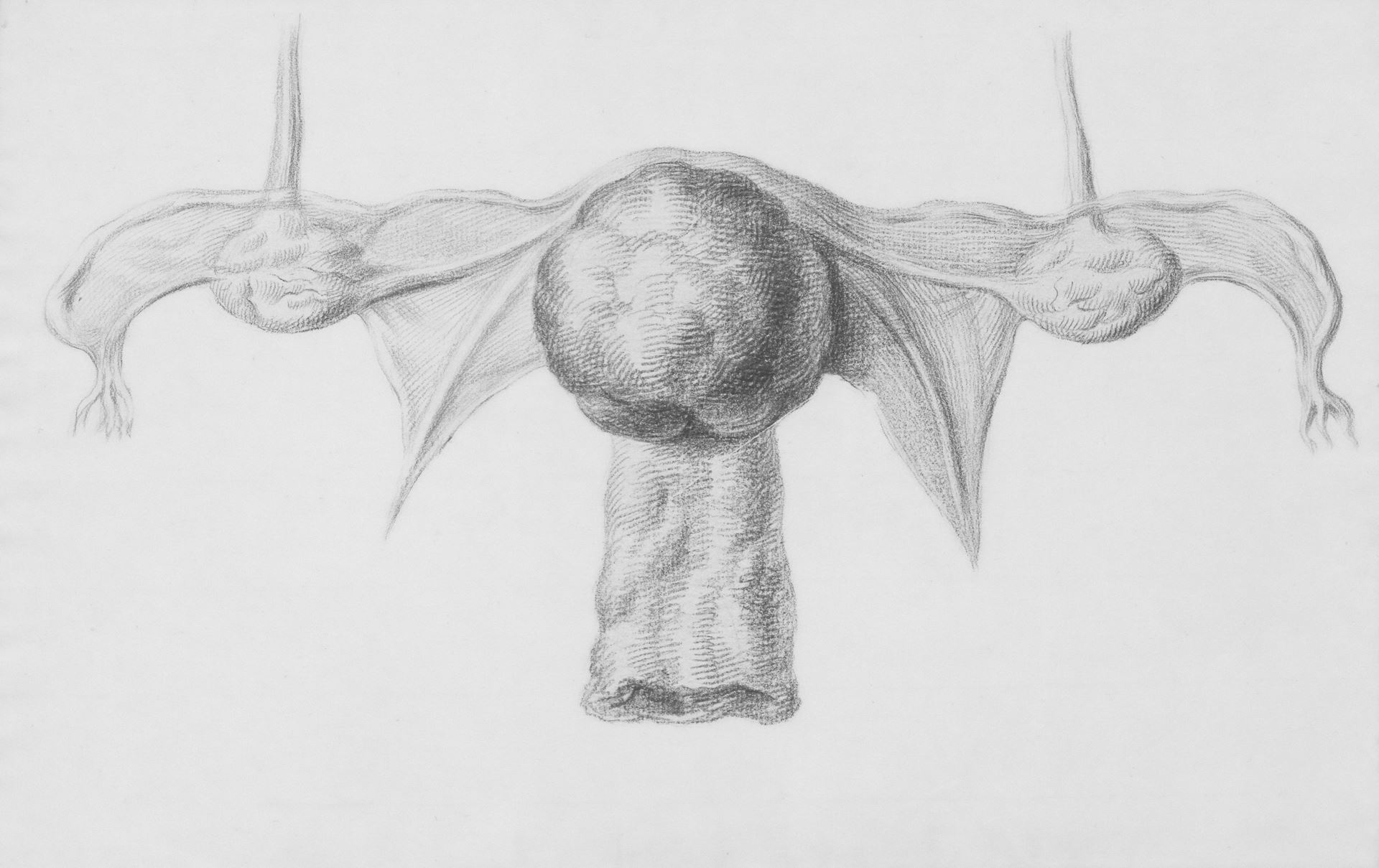 Cervical